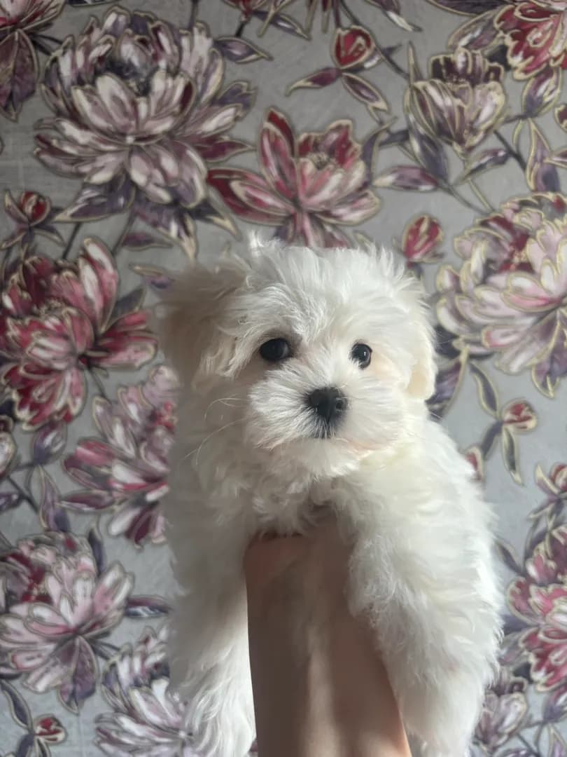 carousel-image-mobile-4