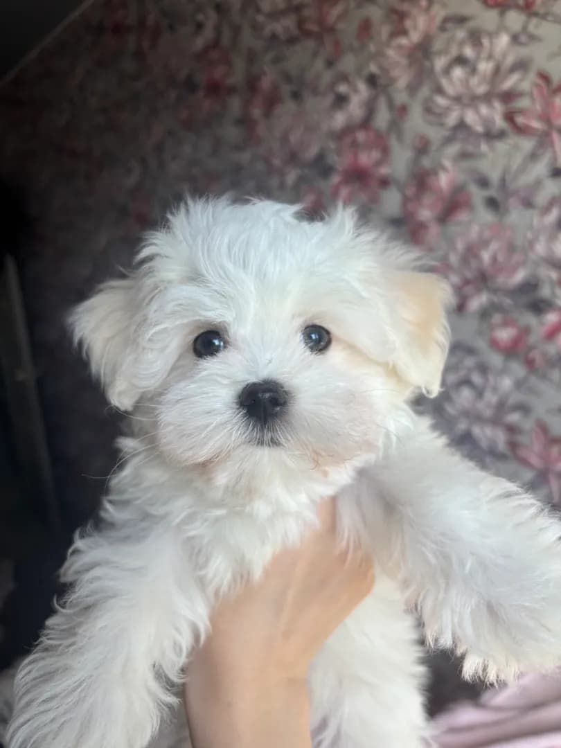 carousel-image-mobile-1