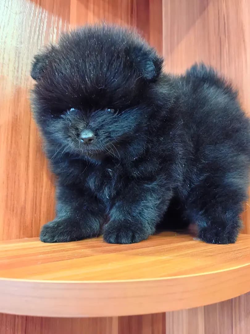 carousel-image-mobile-1