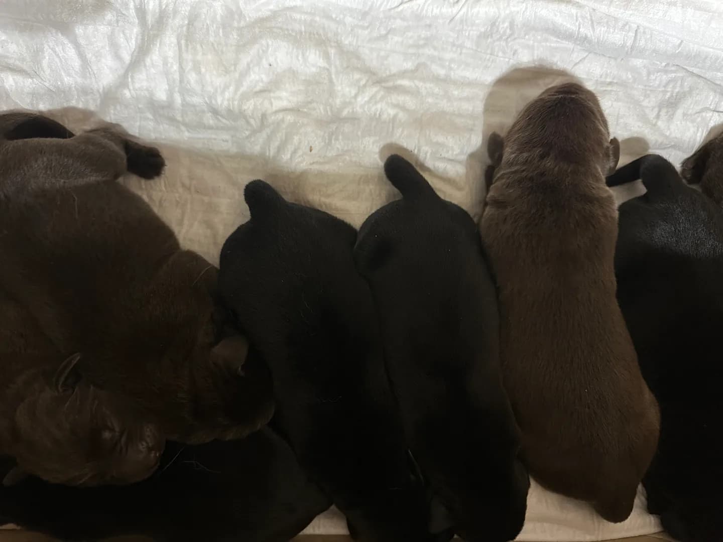 carousel-image-mobile-0