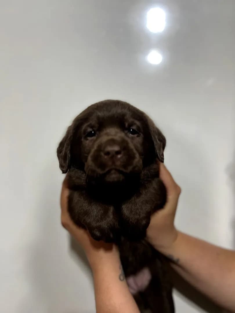 carousel-image-mobile-0