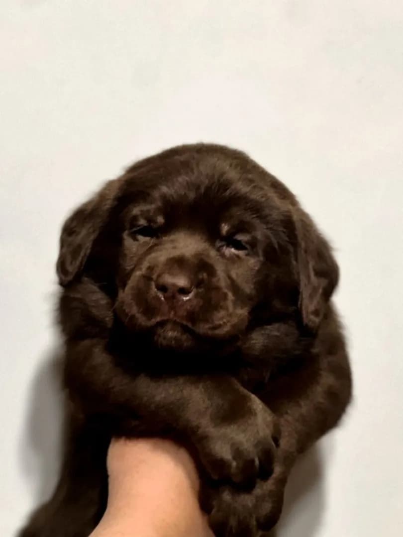 carousel-image-mobile-1